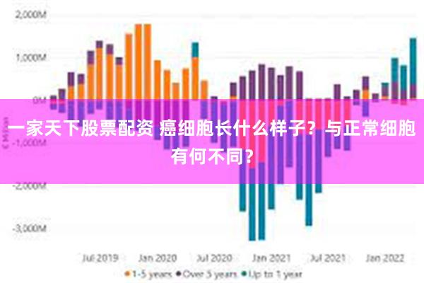 一家天下股票配资 癌细胞长什么样子？与正常细胞有何不同？