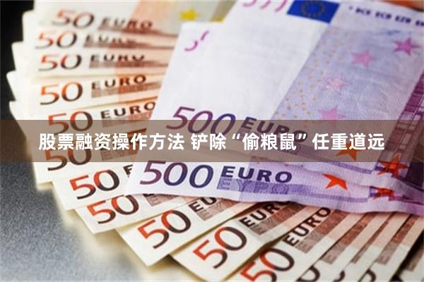 股票融资操作方法 铲除“偷粮鼠”任重道远