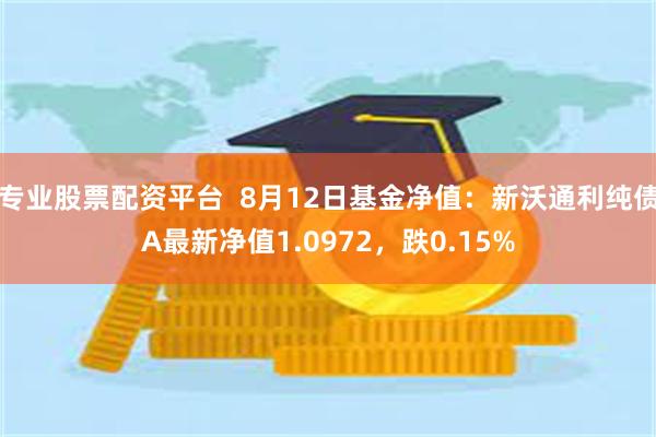 专业股票配资平台  8月12日基金净值：新沃通利纯债A最新净值1.0972，跌0.15%
