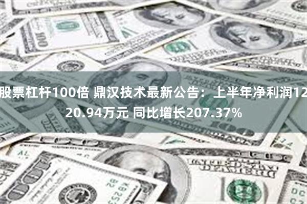 股票杠杆100倍 鼎汉技术最新公告：上半年净利润1220.94万元 同比增长207.37%
