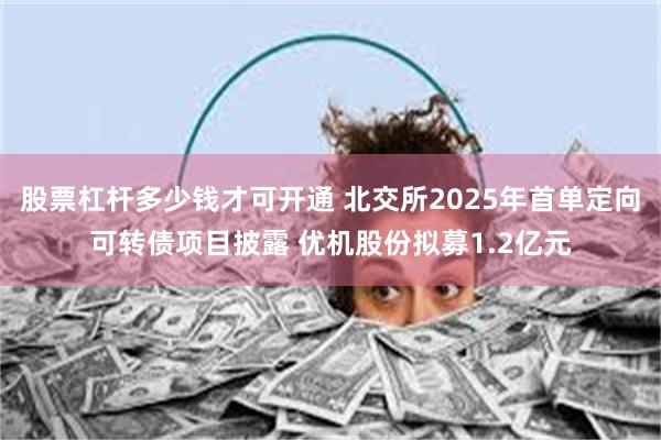 股票杠杆多少钱才可开通 北交所2025年首单定向可转债项目披露 优机股份拟募1.2亿元