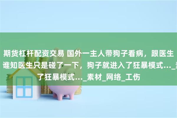 期货杠杆配资交易 国外一主人带狗子看病，跟医生保证绝不咬人，谁知医生只是碰了一下，狗子就进入了狂暴模式..._素材_网络_工伤