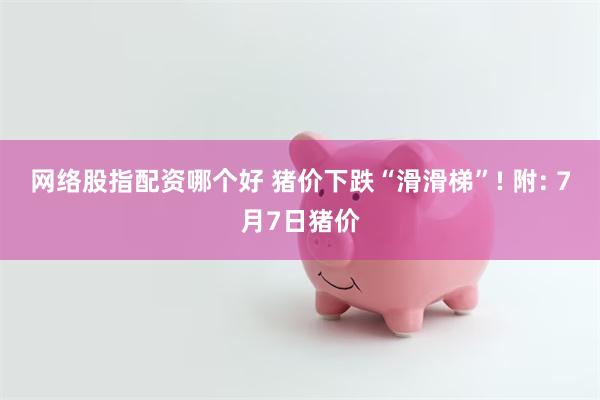 网络股指配资哪个好 猪价下跌“滑滑梯”! 附: 7月7日猪价
