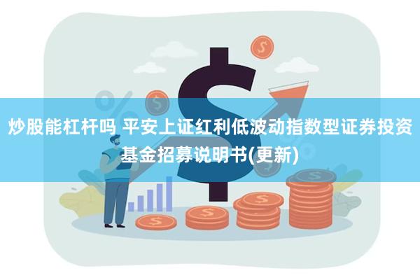 炒股能杠杆吗 平安上证红利低波动指数型证券投资基金招募说明书(更新)
