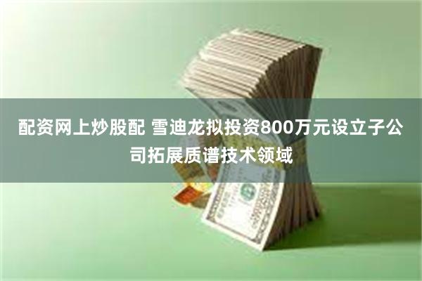 配资网上炒股配 雪迪龙拟投资800万元设立子公司拓展质谱技术领域