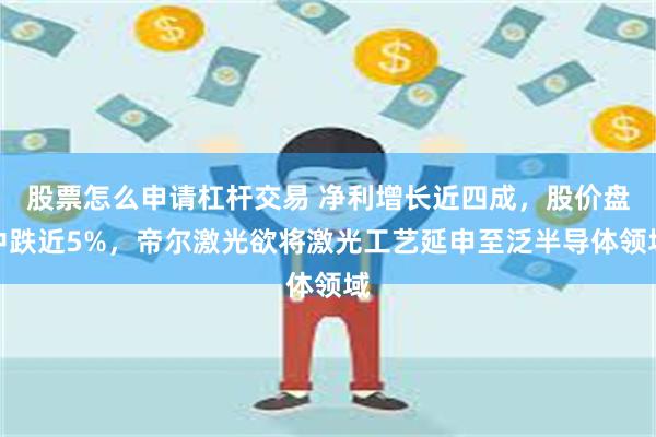 股票怎么申请杠杆交易 净利增长近四成，股价盘中跌近5%，帝尔激光欲将激光工艺延申至泛半导体领域