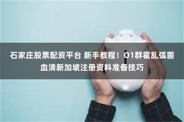 石家庄股票配资平台 新手教程！O1群霍乱弧菌血清新加坡注册资料准备技巧