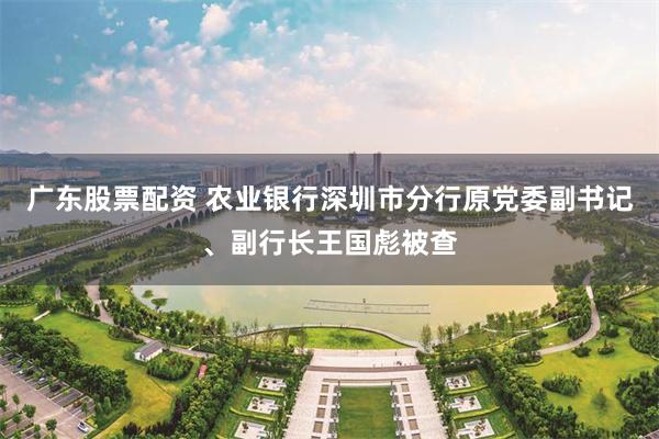 广东股票配资 农业银行深圳市分行原党委副书记、副行长王国彪被查