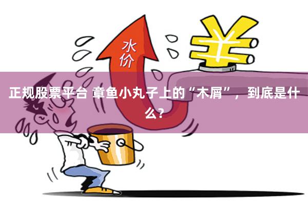 正规股票平台 章鱼小丸子上的“木屑”，到底是什么？