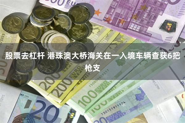 股票去杠杆 港珠澳大桥海关在一入境车辆查获6把枪支