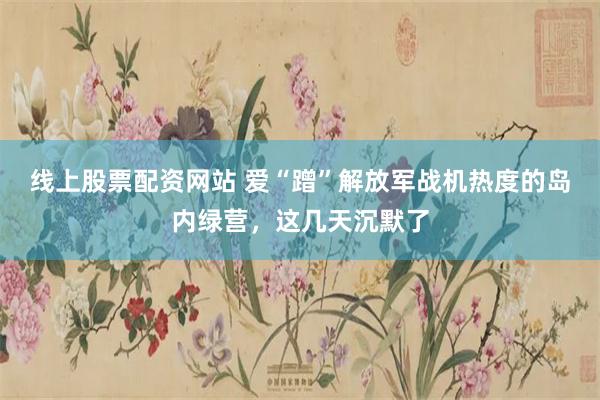 线上股票配资网站 爱“蹭”解放军战机热度的岛内绿营，这几天沉默了