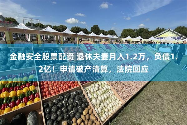 金融安全股票配资 退休夫妻月入1.2万，负债1.2亿！申请破产清算，法院回应