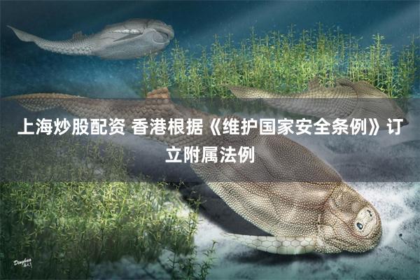 上海炒股配资 香港根据《维护国家安全条例》订立附属法例