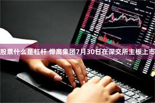 股票什么是杠杆 悍高集团7月30日在深交所主板上市