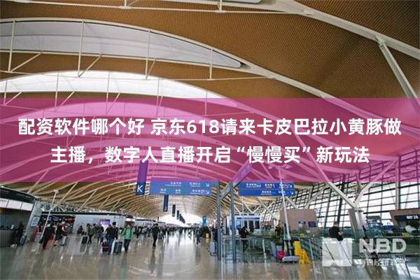 配资软件哪个好 京东618请来卡皮巴拉小黄豚做主播，数字人直播开启“慢慢买”新玩法