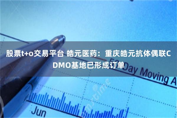 股票t+o交易平台 皓元医药：重庆皓元抗体偶联CDMO基地已形成订单