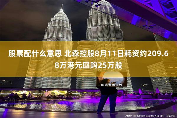 股票配什么意思 北森控股8月11日耗资约209.68万港元回购25万股
