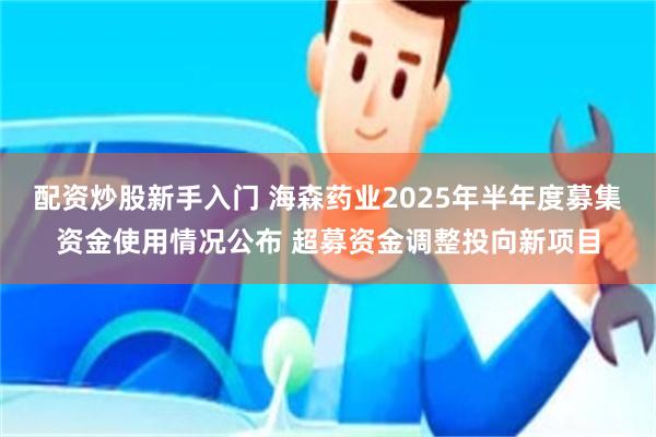 配资炒股新手入门 海森药业2025年半年度募集资金使用情况公布 超募资金调整投向新项目