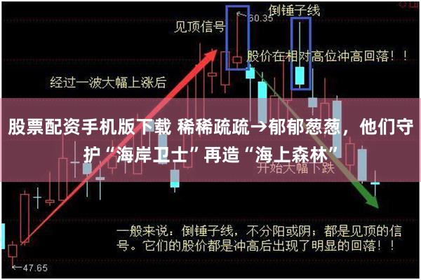 股票配资手机版下载 稀稀疏疏→郁郁葱葱，他们守护“海岸卫士”再造“海上森林”