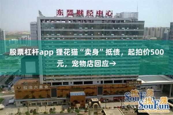 股票杠杆app 狸花猫“卖身”抵债，起拍价500元，宠物店回应→