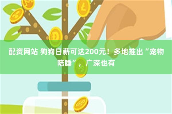 配资网站 狗狗日薪可达200元！多地推出“宠物陪睡”，广深也有