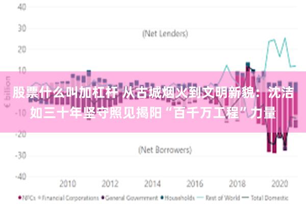 股票什么叫加杠杆 从古城烟火到文明新貌：沈洁如三十年坚守照见揭阳“百千万工程”力量