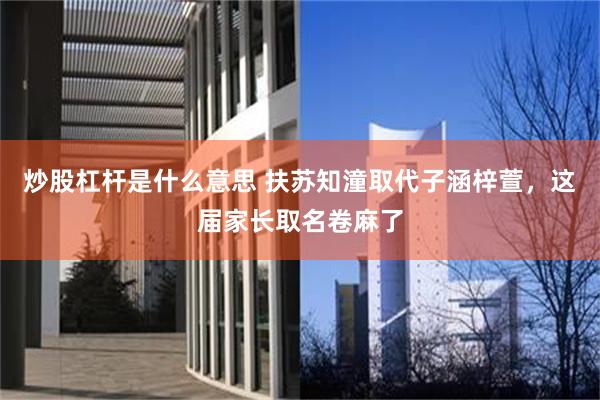 炒股杠杆是什么意思 扶苏知潼取代子涵梓萱，这届家长取名卷麻了