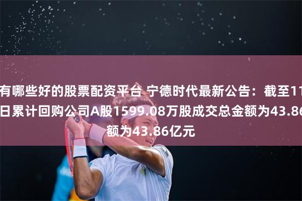 有哪些好的股票配资平台 宁德时代最新公告：截至11月30日累计回购公司A股1599.08万股成交总金额为43.86亿元