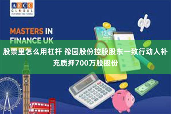 股票里怎么用杠杆 豫园股份控股股东一致行动人补充质押700万股股份