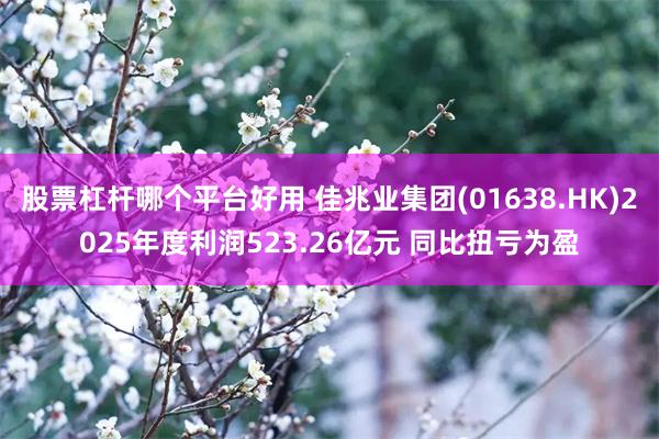 股票杠杆哪个平台好用 佳兆业集团(01638.HK)2025年度利润523.26亿元 同比扭亏为盈