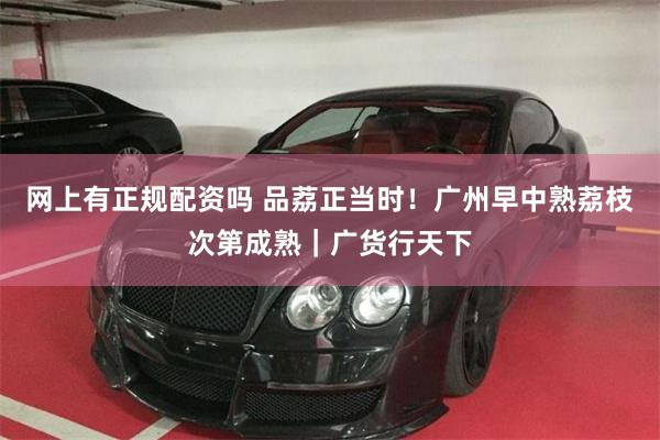 网上有正规配资吗 品荔正当时！广州早中熟荔枝次第成熟｜广货行天下