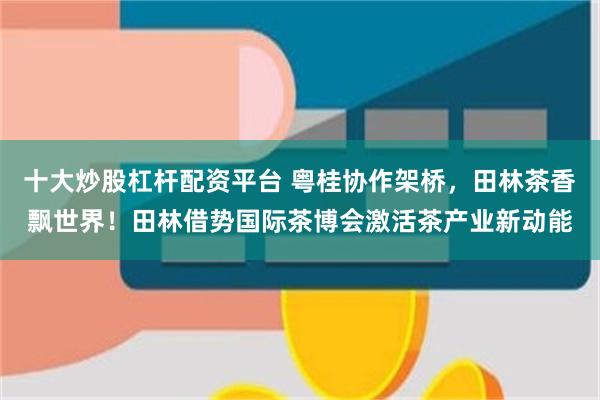 十大炒股杠杆配资平台 粤桂协作架桥,田林茶香飘世界!田林借势国际茶博会激活茶产业新动能