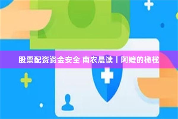 股票配资资金安全 南农晨读丨阿嬷的橄榄