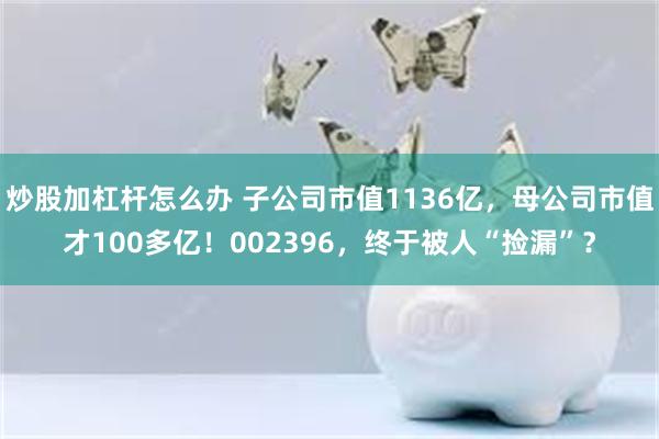 炒股加杠杆怎么办 子公司市值1136亿，母公司市值才100多亿！002396，终于被人“捡漏”？
