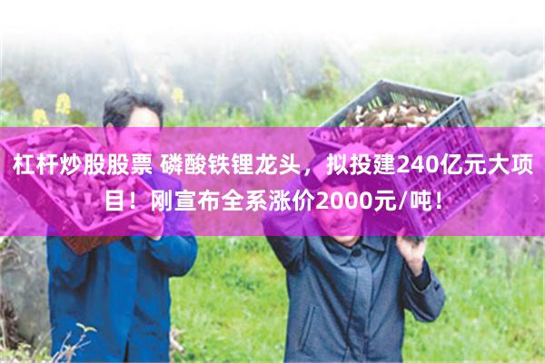 杠杆炒股股票 磷酸铁锂龙头,拟投建240亿元大项目!刚宣布全系涨价2000元/吨!