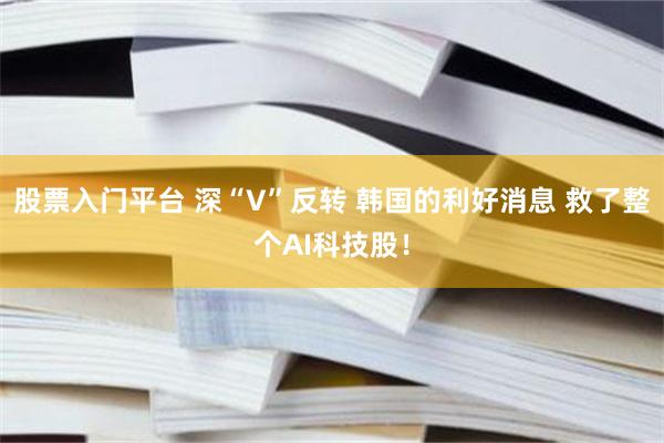 股票入门平台 深“V”反转 韩国的利好消息 救了整个AI科技股!