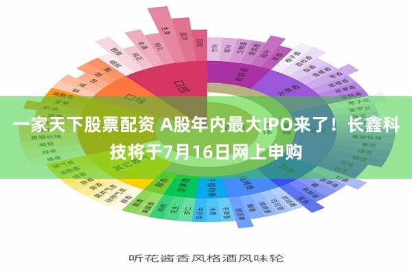 一家天下股票配资 A股年内最大IPO来了！长鑫科技将于7月16日网上申购