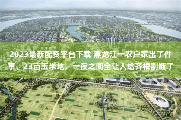 2023最新配资平台下载 黑龙江一农户家出了件事,23亩玉米地,一夜之间全让人给齐根割断了