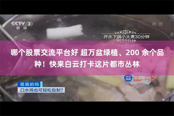 哪个股票交流平台好 超万盆绿植、200 余个品种！快来白云打卡这片都市丛林