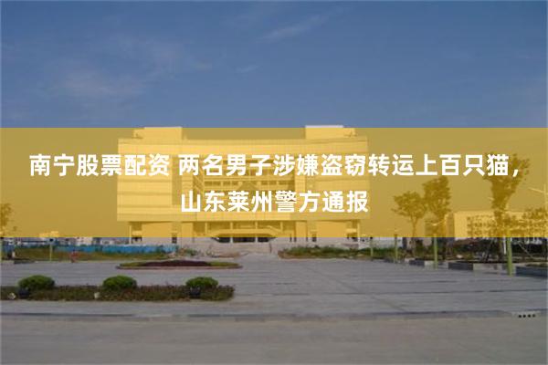 南宁股票配资 两名男子涉嫌盗窃转运上百只猫，山东莱州警方通报