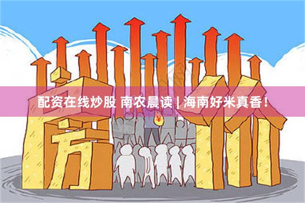 配资在线炒股 南农晨读 | 海南好米真香！