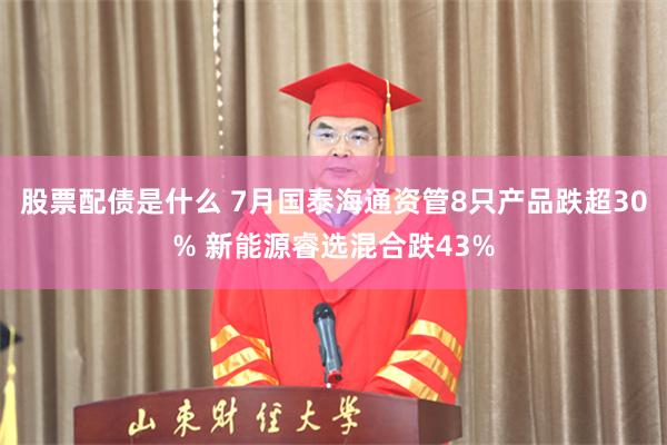 股票配债是什么 7月国泰海通资管8只产品跌超30% 新能源睿选混合跌43%