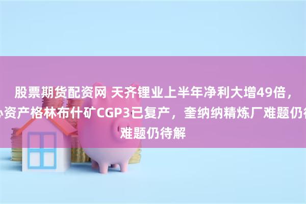股票期货配资网 天齐锂业上半年净利大增49倍，核心资产格林布什矿CGP3已复产，奎纳纳精炼厂难题仍待解