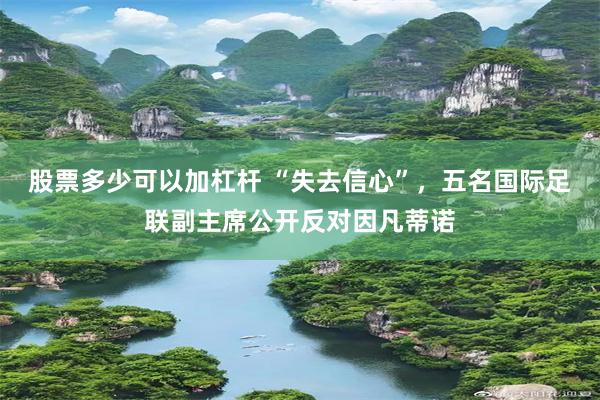 股票多少可以加杠杆 “失去信心”，五名国际足联副主席公开反对因凡蒂诺