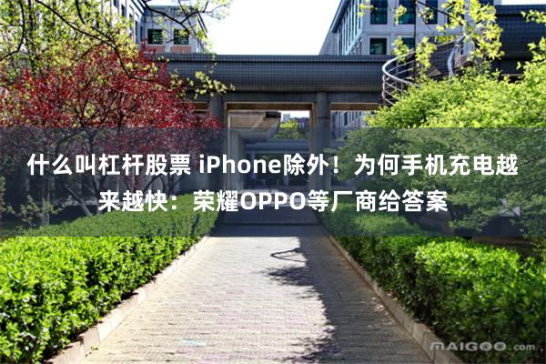 什么叫杠杆股票 iPhone除外！为何手机充电越来越快：荣耀OPPO等厂商给答案