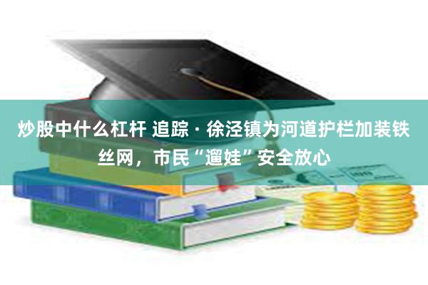 炒股中什么杠杆 追踪 · 徐泾镇为河道护栏加装铁丝网，市民“遛娃”安全放心