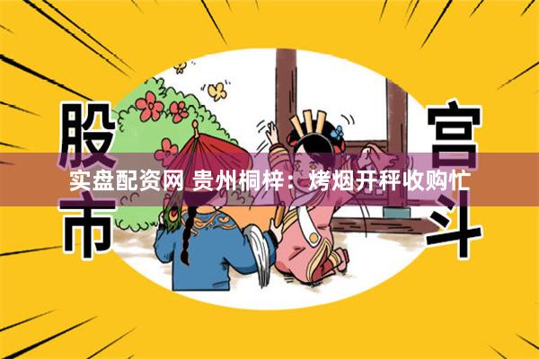 实盘配资网 贵州桐梓:烤烟开秤收购忙