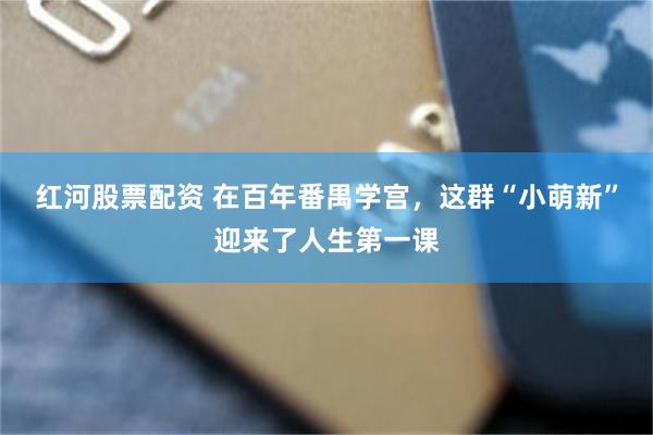 红河股票配资 在百年番禺学宫，这群“小萌新”迎来了人生第一课