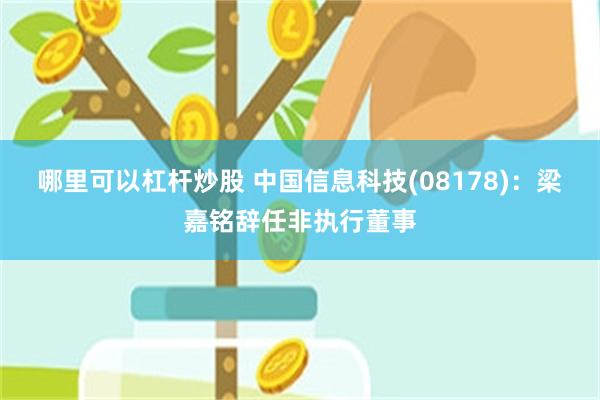 哪里可以杠杆炒股 中国信息科技(08178)：梁嘉铭辞任非执行董事