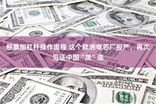 股票加杠杆操作流程 这个欧洲电芯厂投产，再次见证中国“质”造